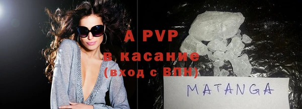 индика Тутаев