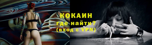 тгк Няндома