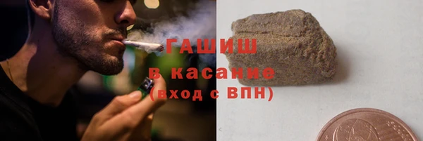 индика Тутаев