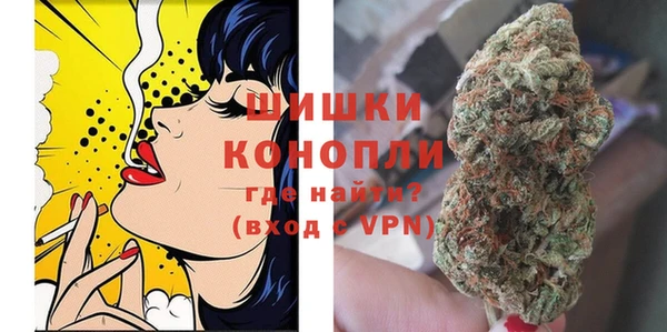 молекула духа Тында