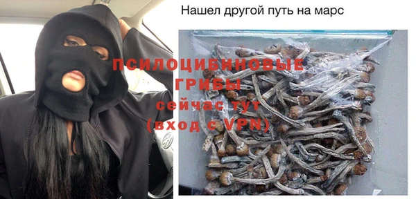 молекула духа Тында