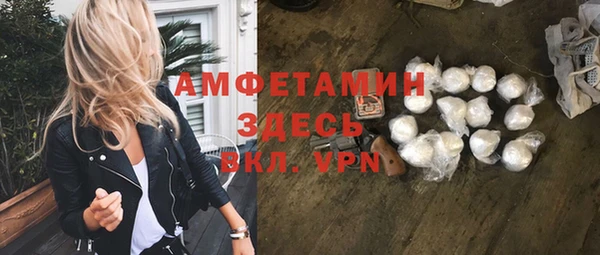 молекула духа Тында
