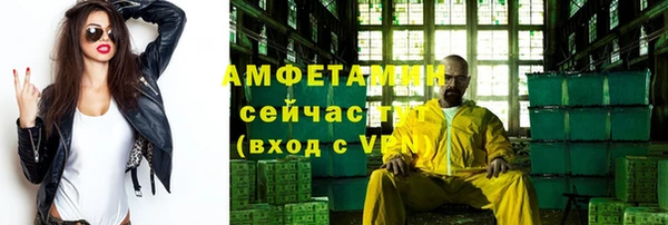 индика Тутаев