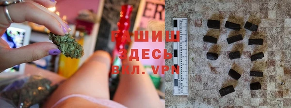 индика Тутаев