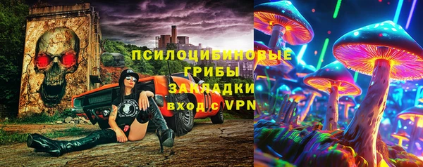 индика Тутаев