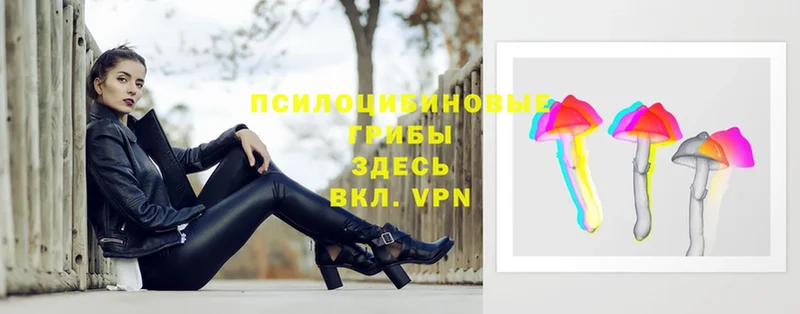 Галлюциногенные грибы прущие грибы  Бирюч 