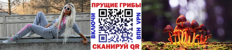 Галлюциногенные грибы Cubensis Бирюч