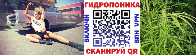 купить  сайты  omg ONION  Бошки Шишки OG Kush  Бирюч 